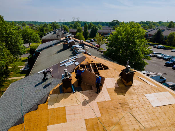 Best Roof Maintenance Services  in Man, WV